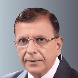 V.P. Raman