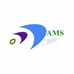 Automation Manifold Services