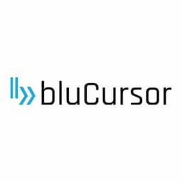 bluCursor Infotech Pvt Ltd