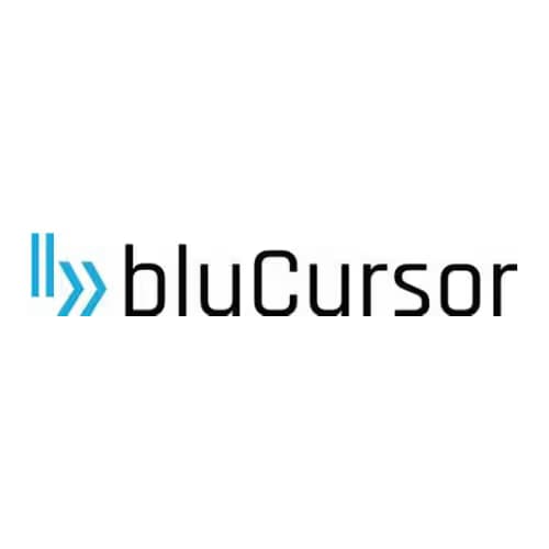bluCursor Infotech Pvt Ltd