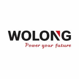 Wolong Electric Drive Group
