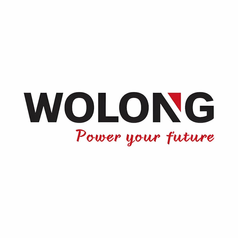 Wolong Electric Drive Group Co., Ltd