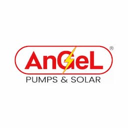 Angel Pumps