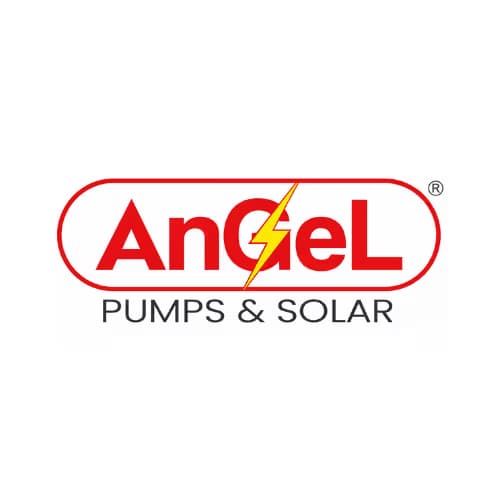 Angel Pumps