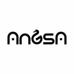 Angsa Robotics