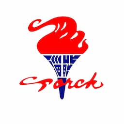 Zibo Torch Energy