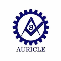 Auricle Vibration
