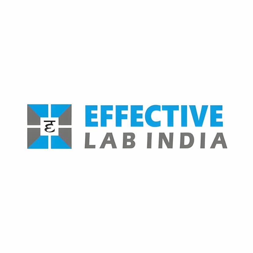 Effective Lab India