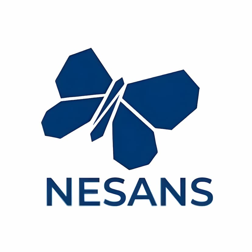 Nesans Mining and Automation Private Limited