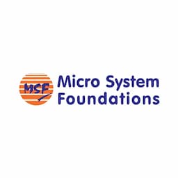 Micro System Foundations