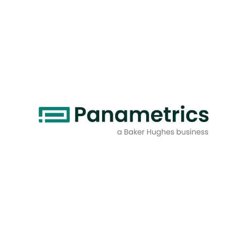 Panametrics
