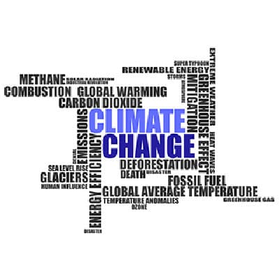 AEEE launches initiative to rally cross-sectoral action against climate change