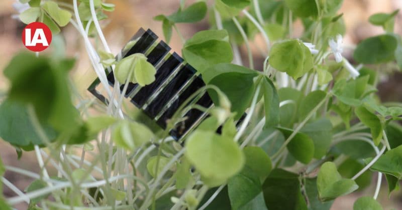 A solar cell module developed by VTT. (Photo ref: VTT)