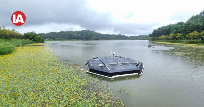 AI-driven water-cleanup technology