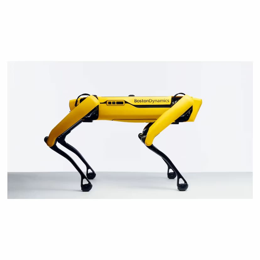 Spot® Robot